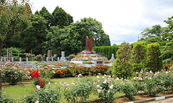 イギリスの樹木葬と東京近郊にあるバラのある樹木葬