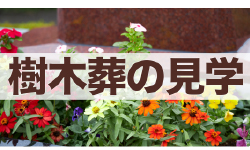 樹木葬の見学チェックリスト｜後悔しないために現地で確認すべきポイント