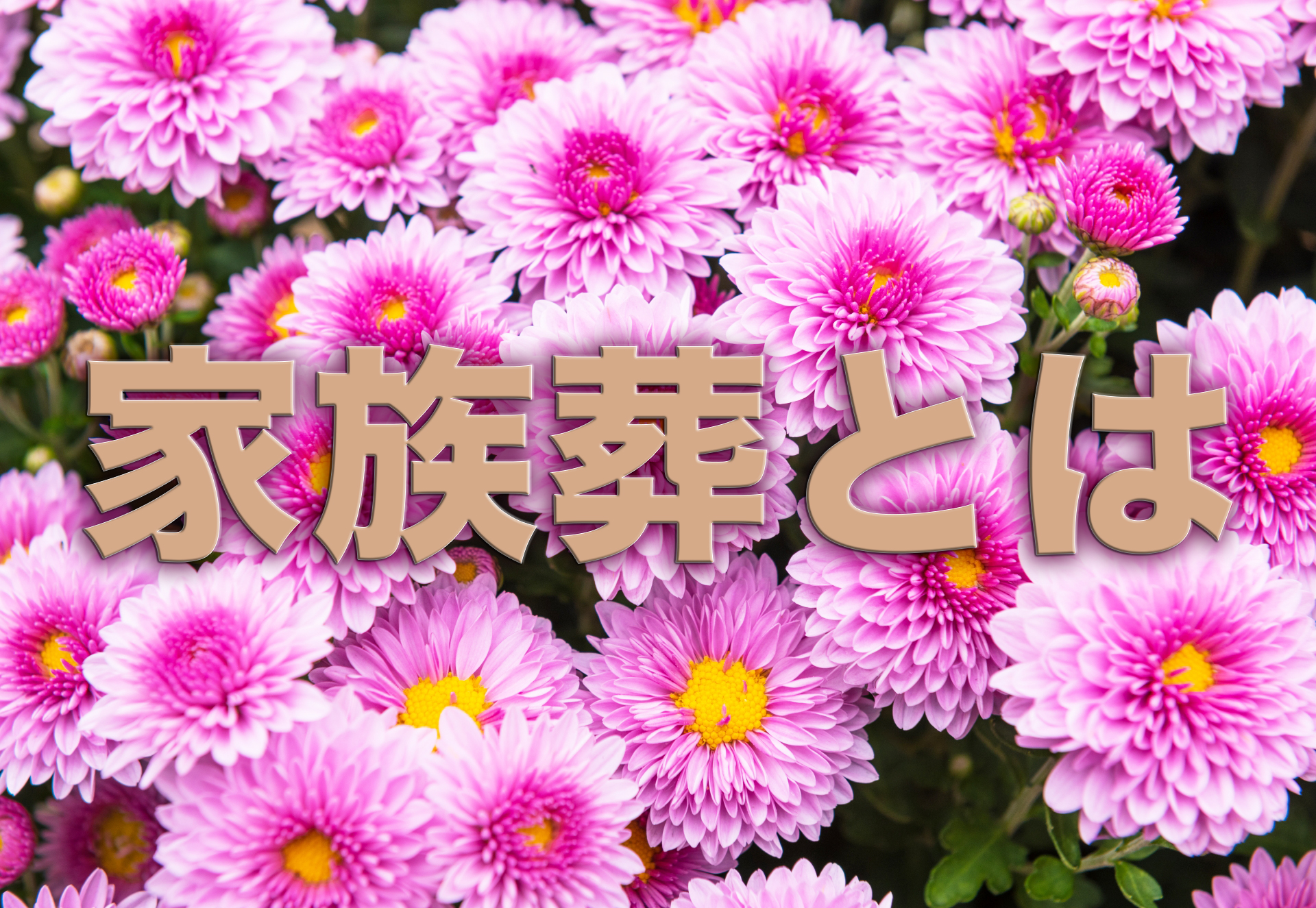 家族葬とは？費用・流れ・注意点までわかりやすく解説