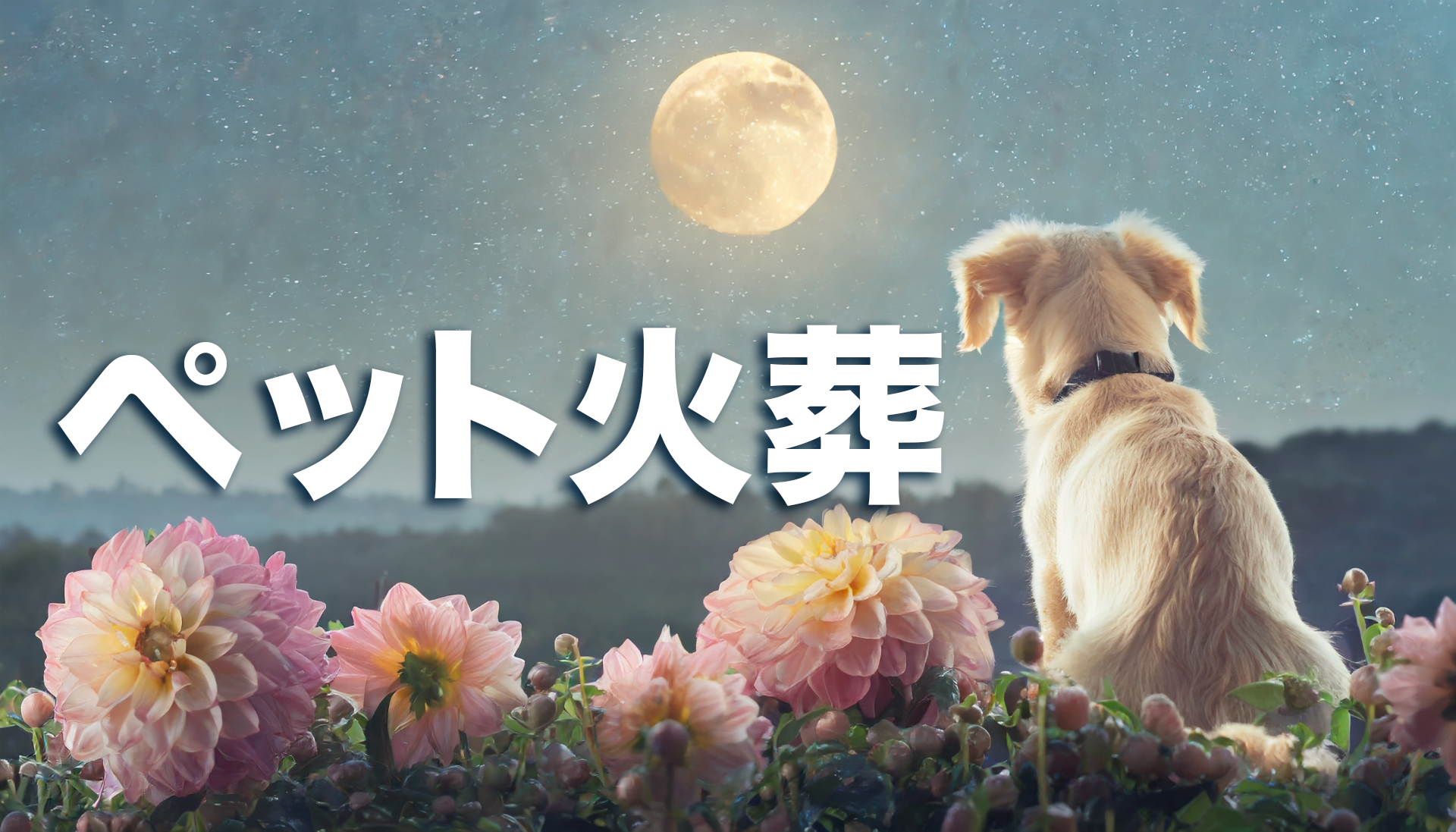 ペット火葬の流れと費用相場|何日後に行う?持ち込みはできる?