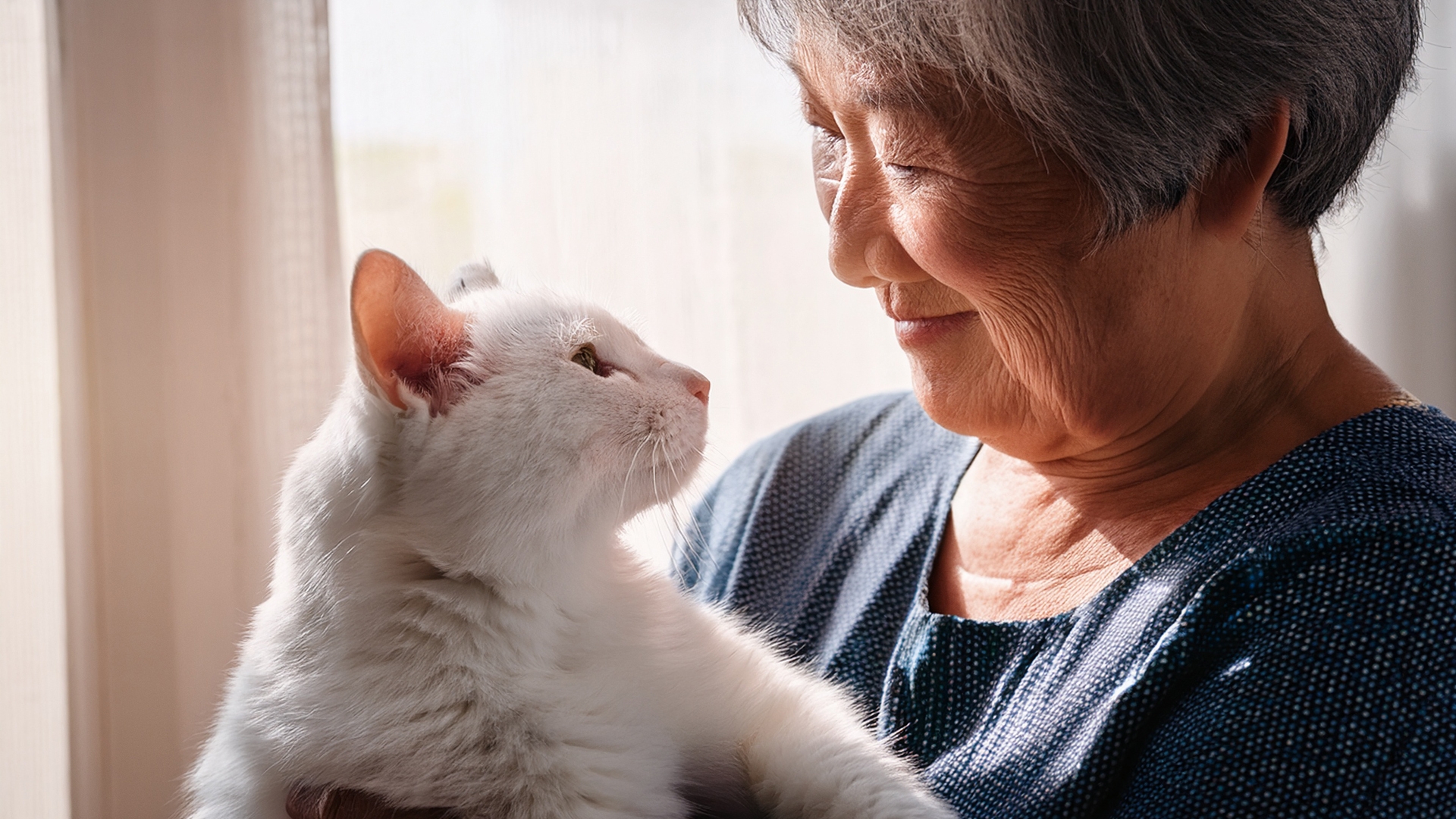 ペット火葬の種類と方法