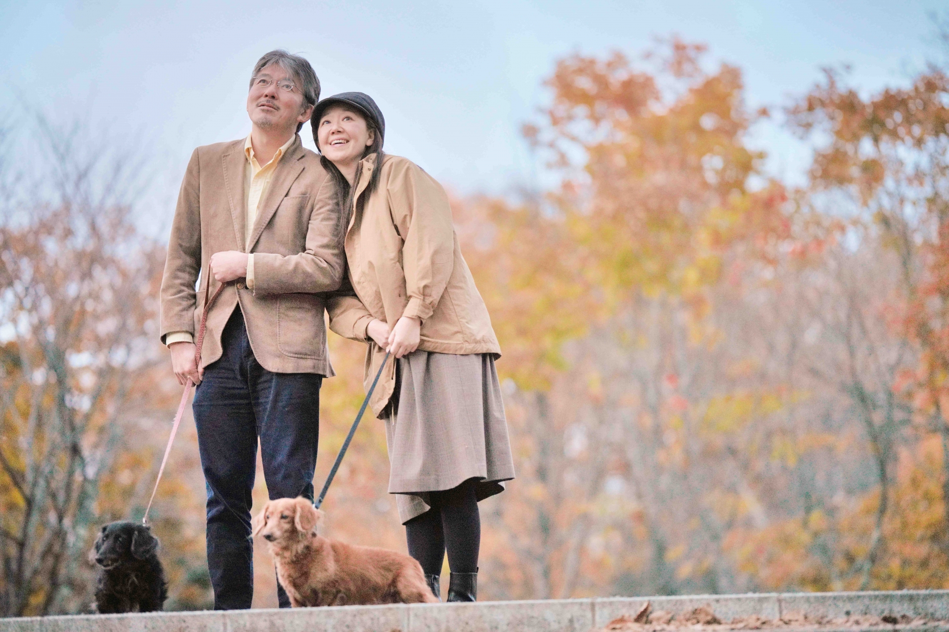 後悔のないお別れのために。知っておきたいペット火葬の選択肢