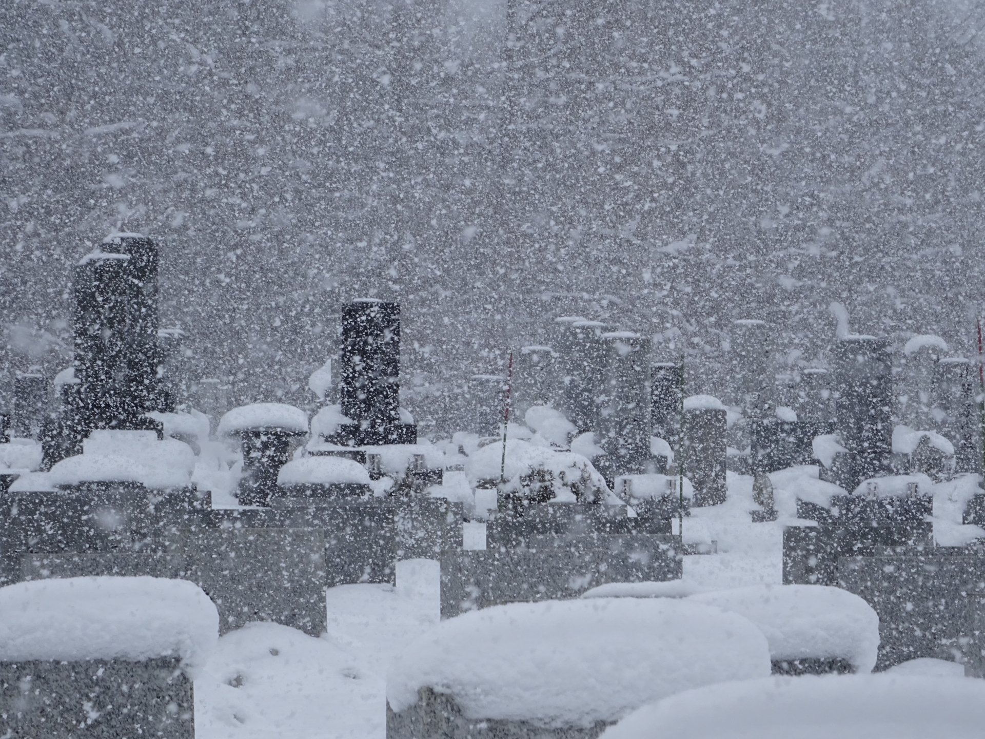 避けたほうがよい時期と注意点