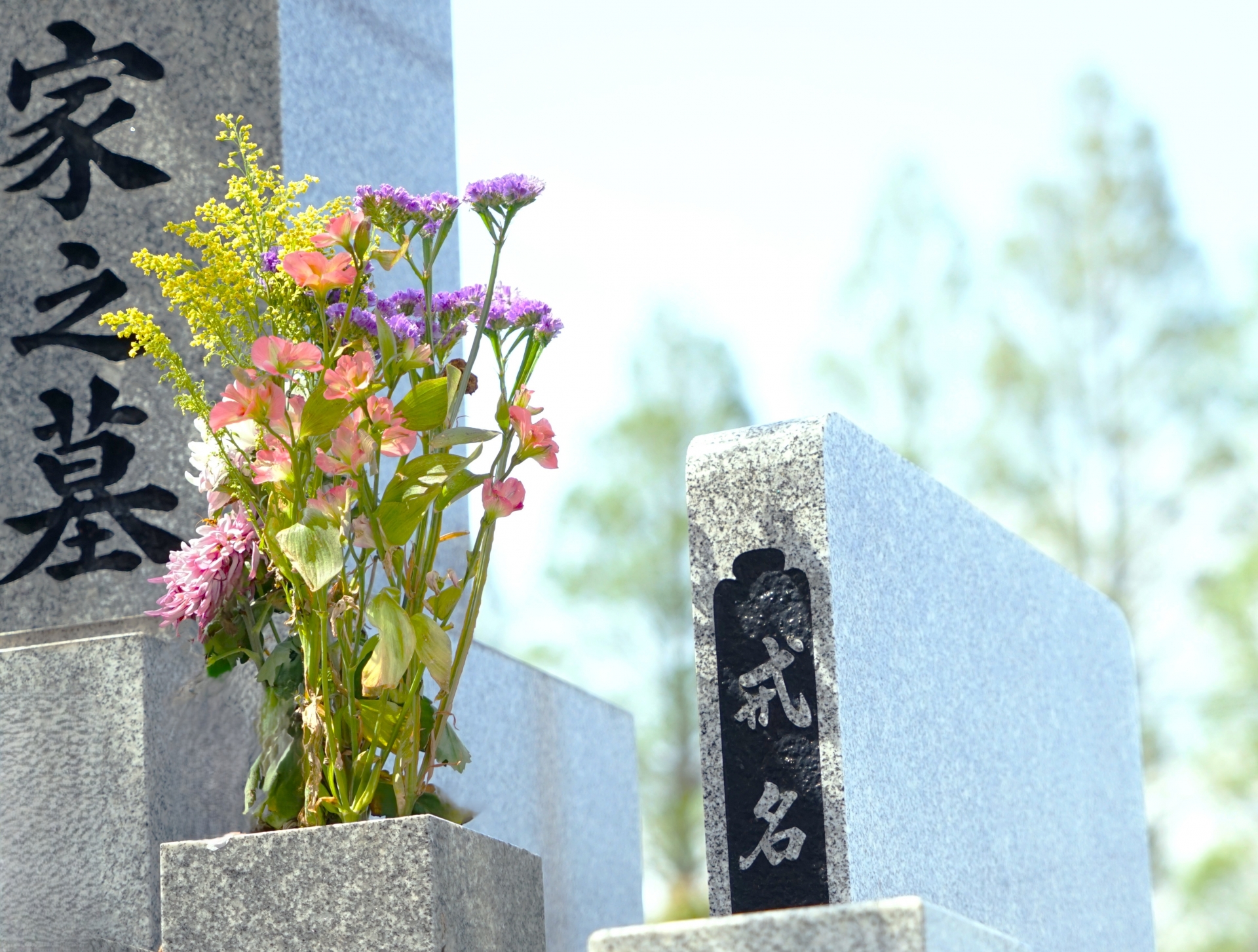 知っておきたい「経営主体と運営体制」