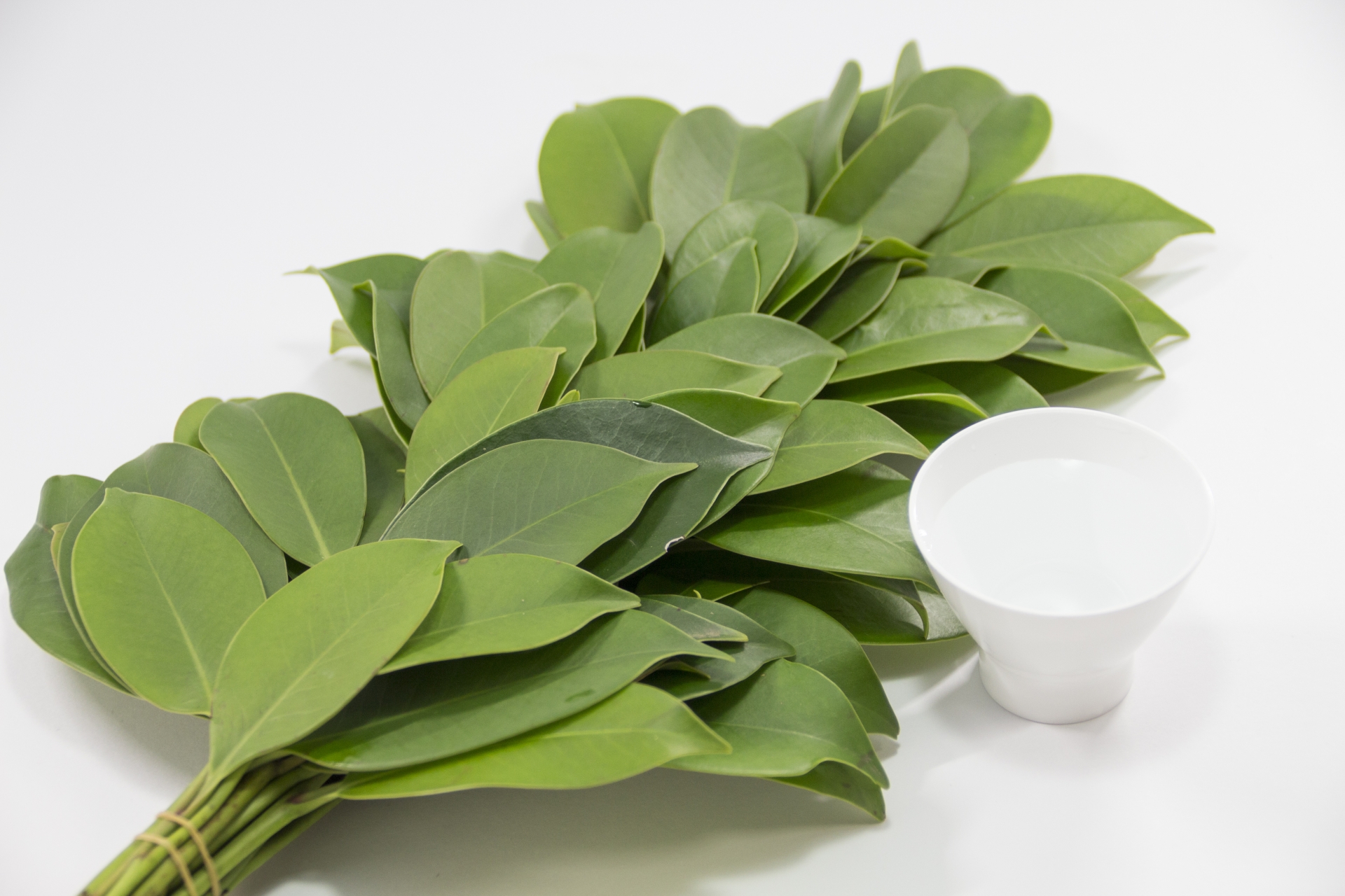 神道式と仏式の葬儀の違い