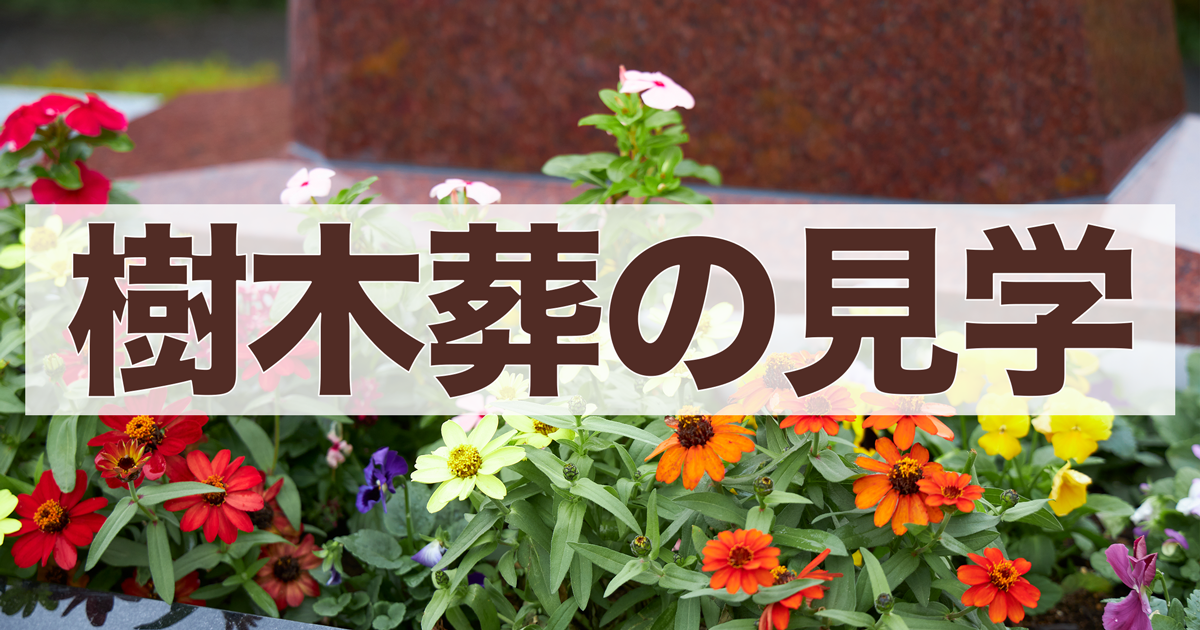 樹木葬の見学チェックリスト｜後悔しないために現地で確認すべきポイント