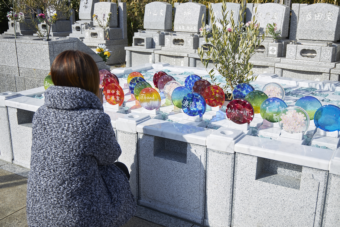 樹木葬の見学に適した時期を知っておく