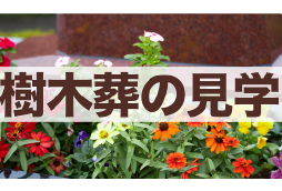 樹木葬の見学チェックリスト|後悔しないために現地で確認すべきポイント