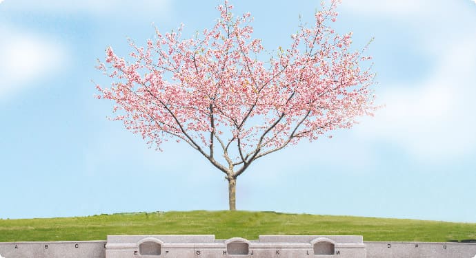 桜の木の下で眠る樹木葬