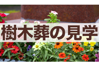 樹木葬の見学チェックリスト|後悔しないために現地で確認すべきポイント